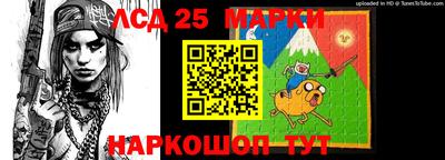 стафф Гатчина
