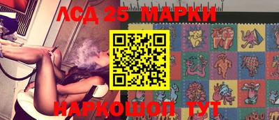 стафф Гатчина