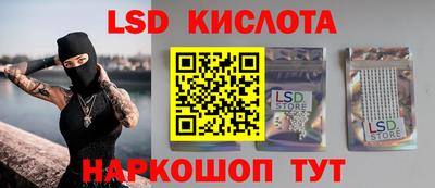 стафф Гатчина