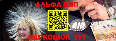 стафф Гатчина