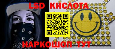 стафф Гатчина