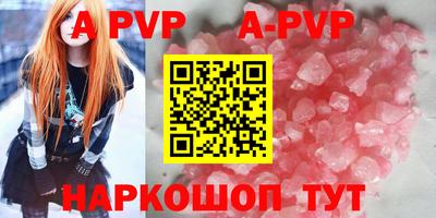 стафф Гатчина
